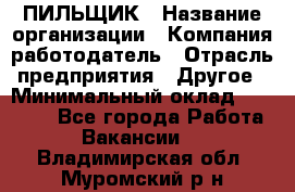 ПИЛЬЩИК › Название организации ­ Компания-работодатель › Отрасль предприятия ­ Другое › Минимальный оклад ­ 35 000 - Все города Работа » Вакансии   . Владимирская обл.,Муромский р-н